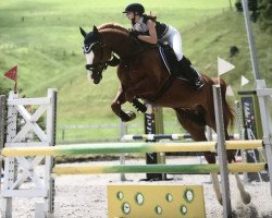 Springpferd Lusimor CH (Schweizer Warmblut, 2010, von Lupicor)