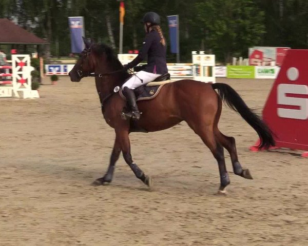 Reitturnier Münster-Roxel 2017