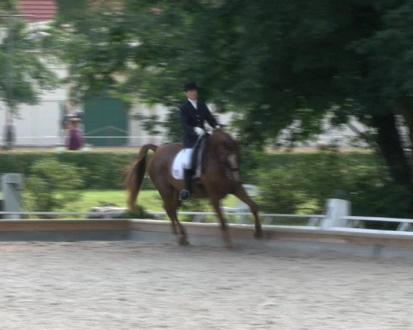 Reitturnier Redefin 2017