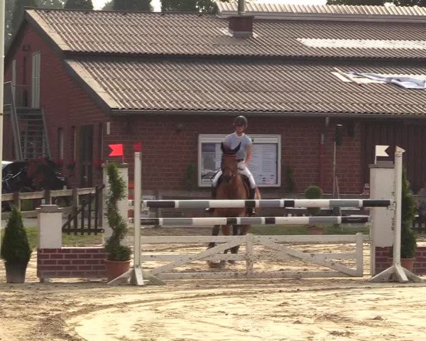 Reitturnier Münster-Roxel 2017