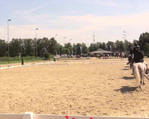 Reitturnier Münster-Roxel 2017