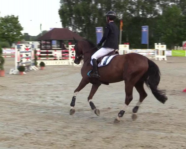 Reitturnier Münster-Roxel 2017
