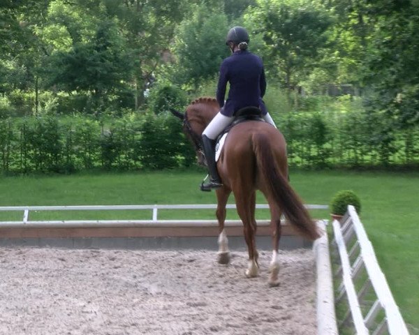 Reitturnier Redefin 2017