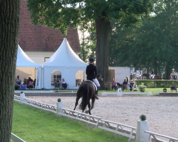Reitturnier Redefin 2017