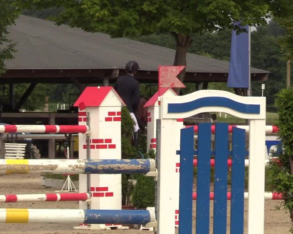 Reitturnier Münster-Roxel 2017
