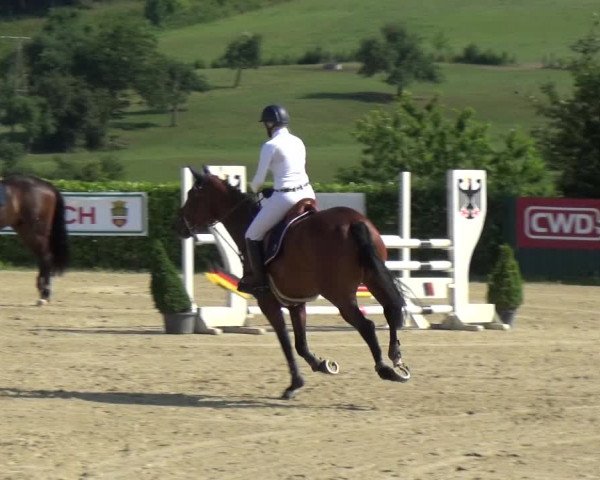 Reitturnier Lindlar-Süttenbach 2017