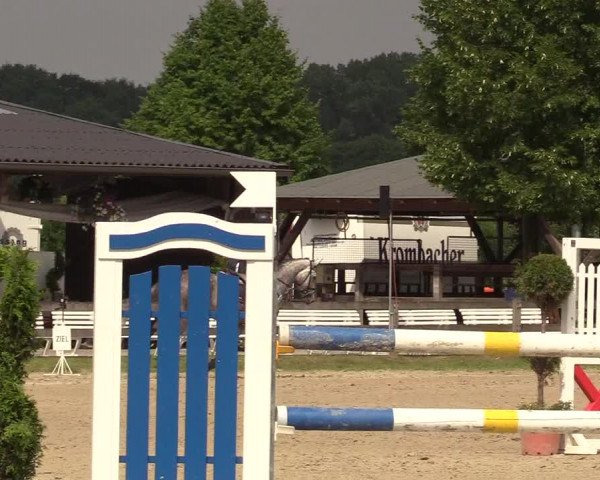 Reitturnier Münster-Roxel 2017