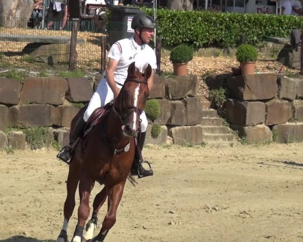 Reitturnier Lindlar-Süttenbach 2017