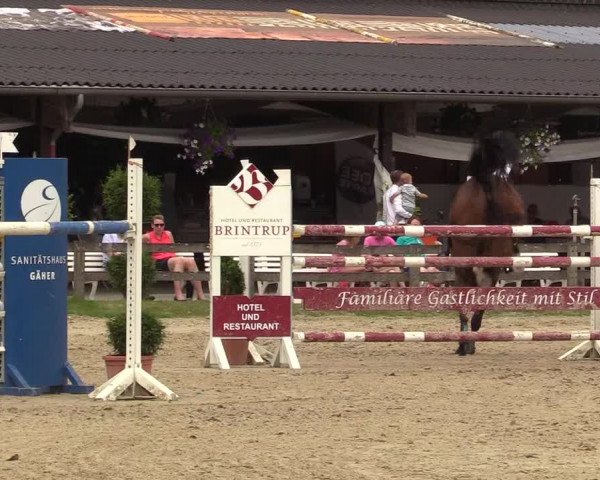 Reitturnier Münster-Roxel 2017