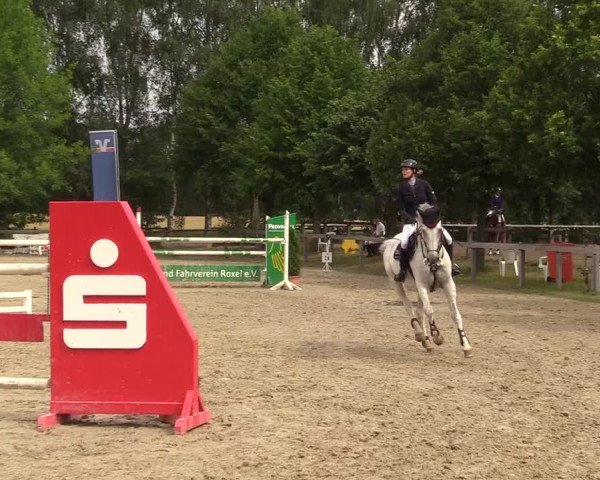 Reitturnier Münster-Roxel 2017