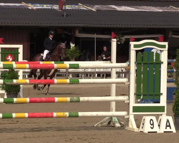 Reitturnier Münster-Roxel 2017