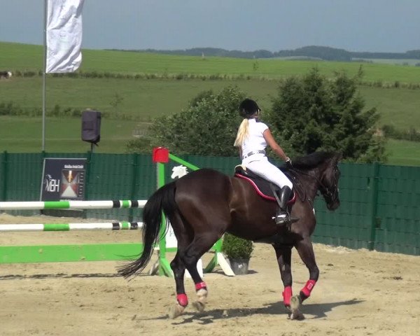 Reitturnier Lindlar-Süttenbach 2017