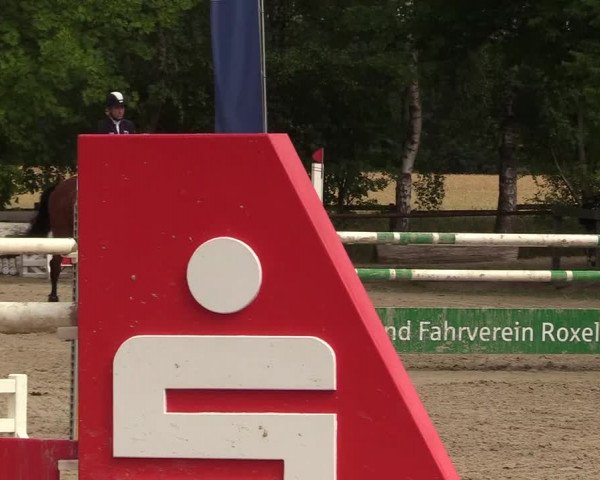 Reitturnier Münster-Roxel 2017