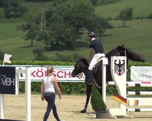 Reitturnier Lindlar-Süttenbach 2017