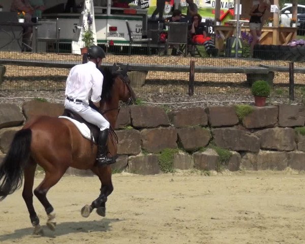 Reitturnier Lindlar-Süttenbach 2017