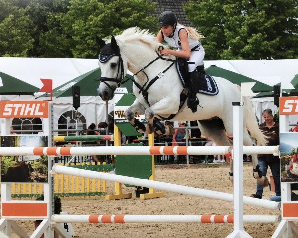 Springpferd Quite Ramiro L (Holsteiner, 2003, von Quite Capitol)