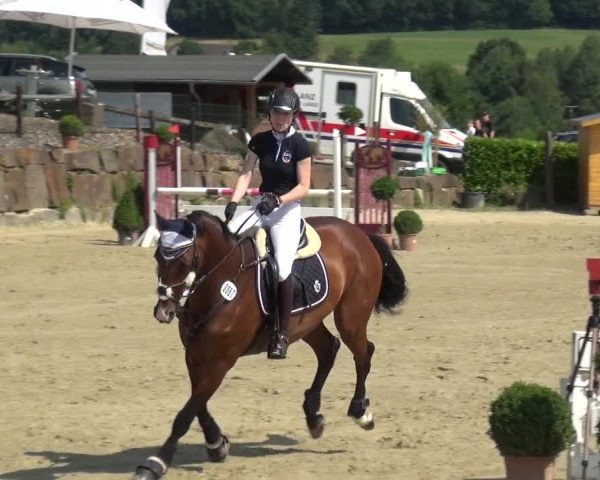 Reitturnier Lindlar-Süttenbach 2017