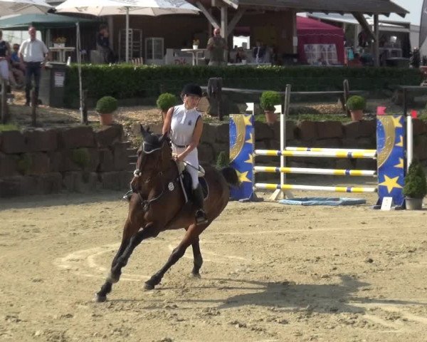 Reitturnier Lindlar-Süttenbach 2017