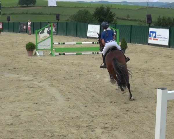 Reitturnier Lindlar-Süttenbach 2017