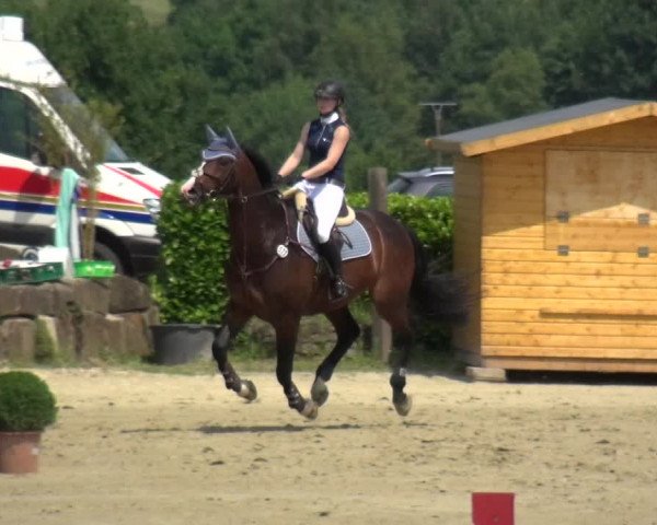 Reitturnier Lindlar-Süttenbach 2017