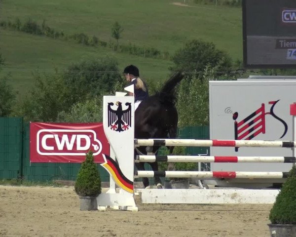 Reitturnier Lindlar-Süttenbach 2017