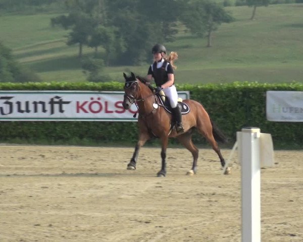 Reitturnier Lindlar-Süttenbach 2017