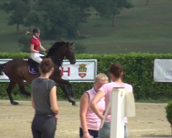 Reitturnier Lindlar-Süttenbach 2017