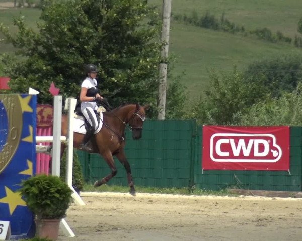Reitturnier Lindlar-Süttenbach 2017