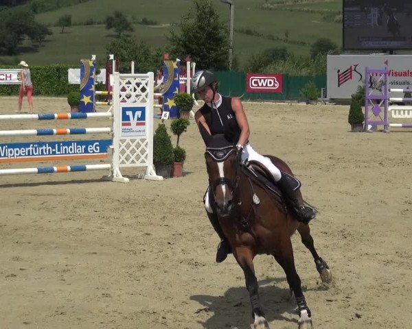 Reitturnier Lindlar-Süttenbach 2017