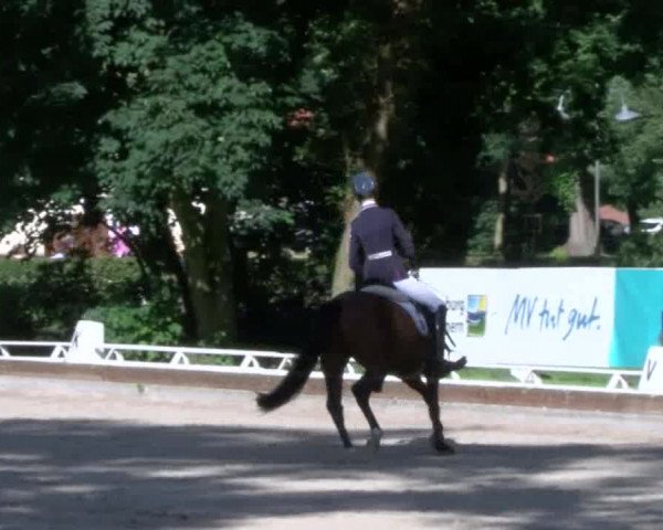 Reitturnier Redefin 2017