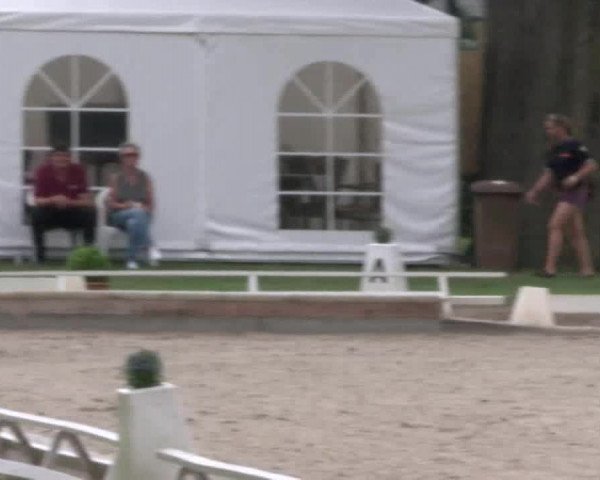 Reitturnier Redefin 2017