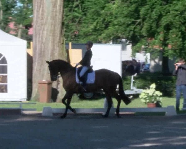Reitturnier Redefin 2017