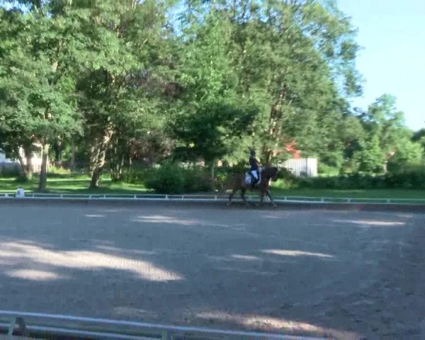 Reitturnier Redefin 2017