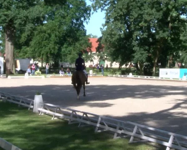 Reitturnier Redefin 2017