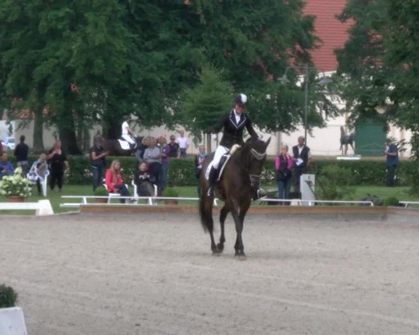 Reitturnier Redefin 2017