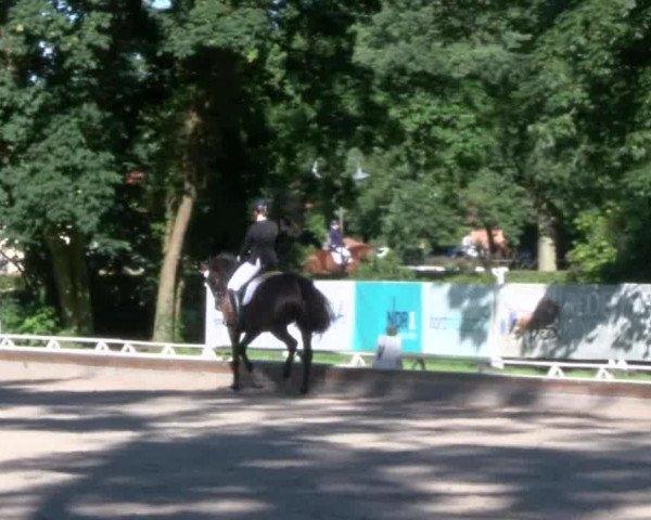 Reitturnier Redefin 2017