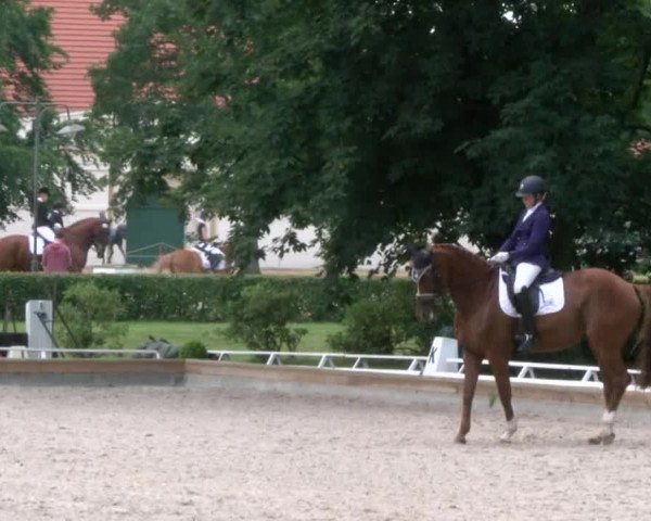 Reitturnier Redefin 2017