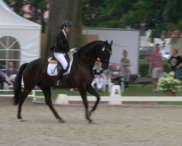 Reitturnier Redefin 2017