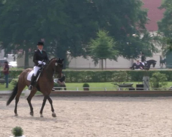 Reitturnier Redefin 2017