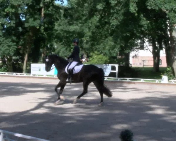 Reitturnier Redefin 2017