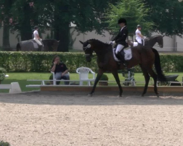 Reitturnier Redefin 2017