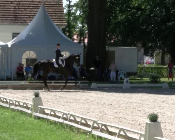 Reitturnier Redefin 2017