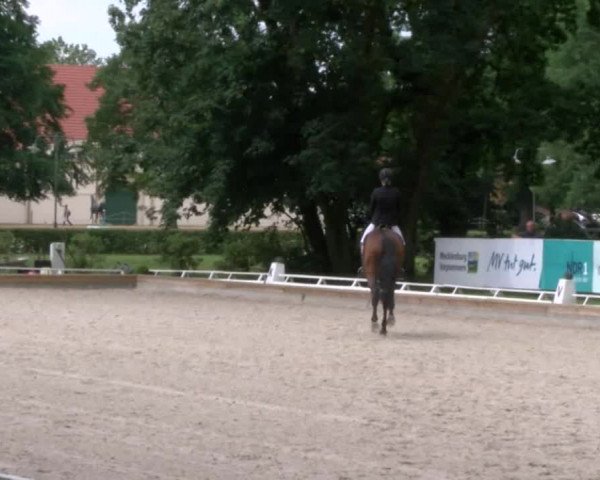 Reitturnier Redefin 2017