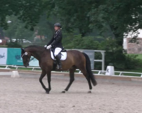 Reitturnier Redefin 2017
