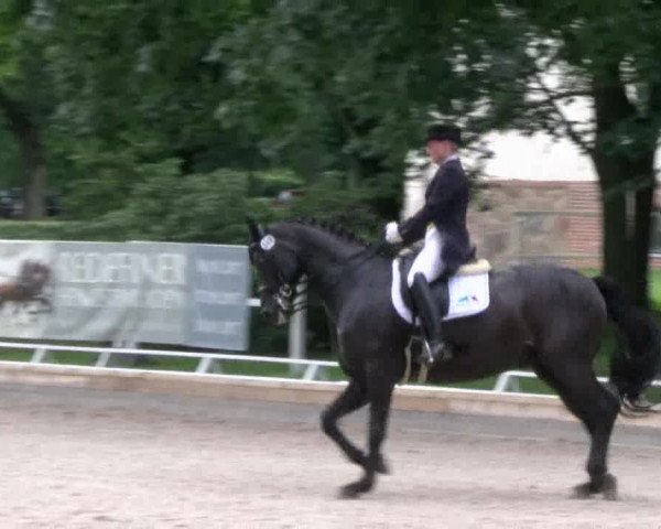 Reitturnier Redefin 2017