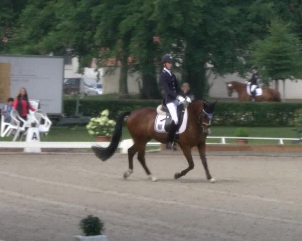 Reitturnier Redefin 2017