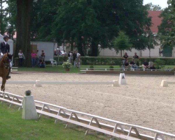 Reitturnier Redefin 2017