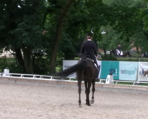 Reitturnier Redefin 2017