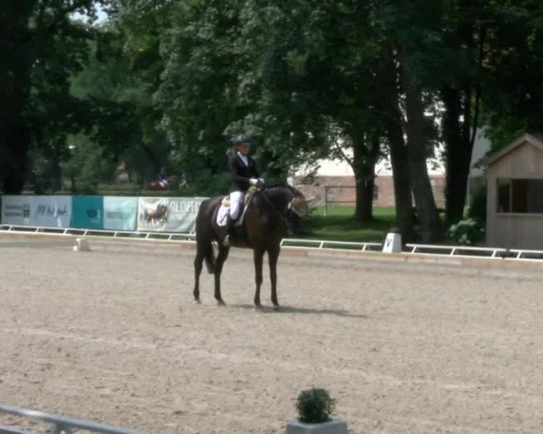 Reitturnier Redefin 2017