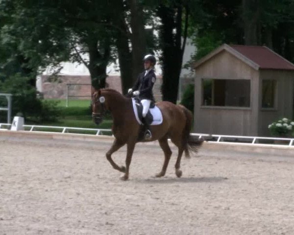 Reitturnier Redefin 2017